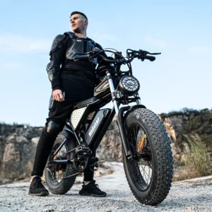 electric bike 1000W 48V 20AH Waterproof Powerful motor 20*4.0 Fat Tire For Mountain adult electric bicycle